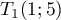 $T_1(1;5)$