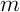 m