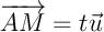 $\V{AM}=t\vec{u}$